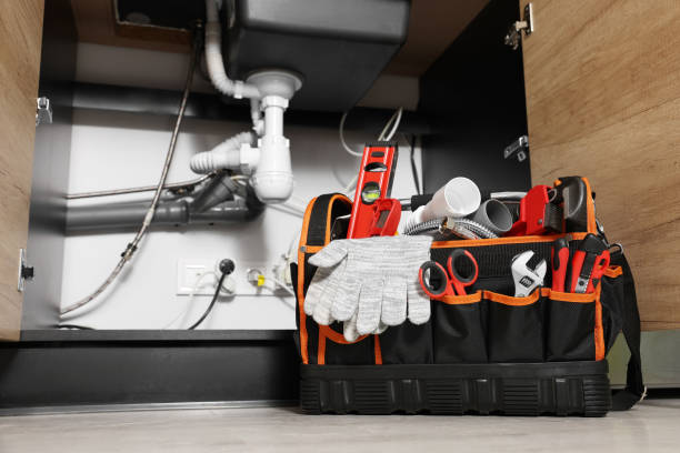 Best Plumbing Inspection Services  in Fort Mohave, AZ
